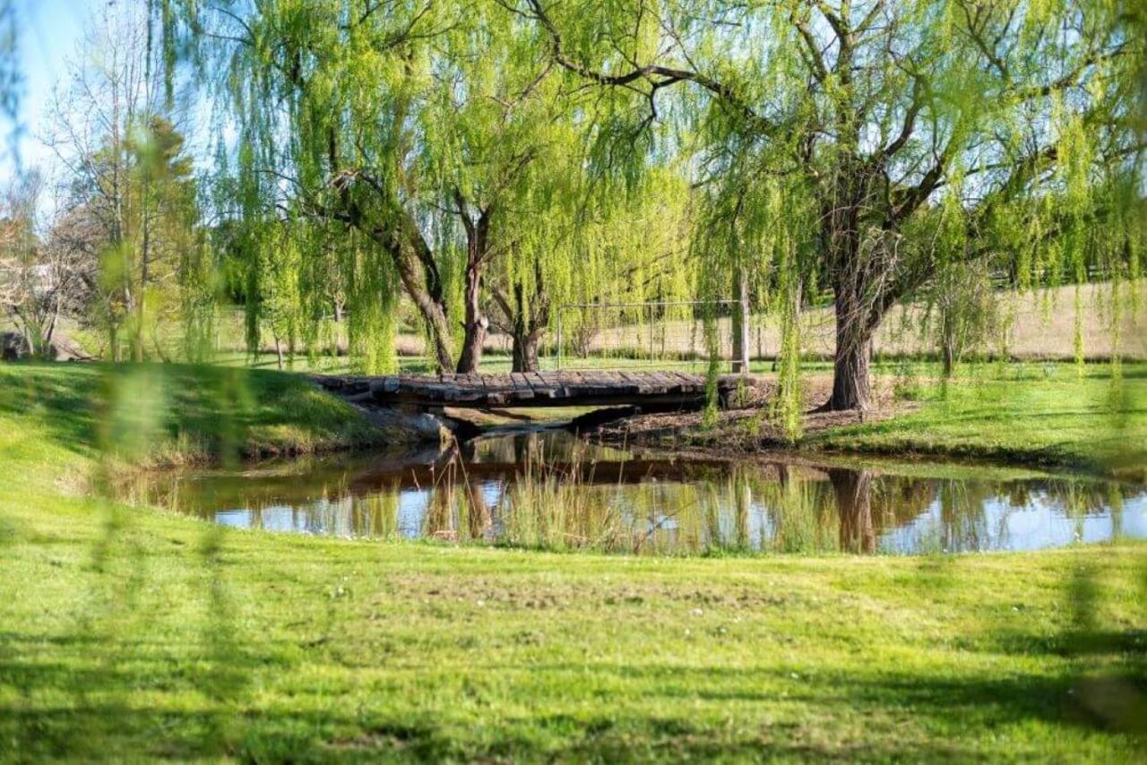 Montfort Manor Traralgon Eksteriør billede